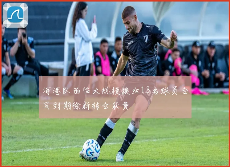 海港队面临大规模换血13名球员合同到期徐新转会获费