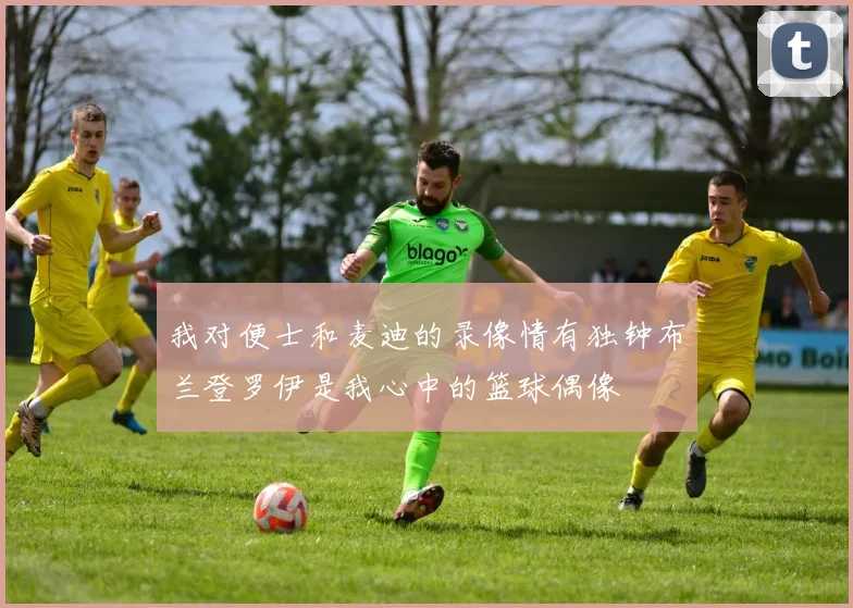 我对便士和麦迪的录像情有独钟布兰登罗伊是我心中的篮球偶像